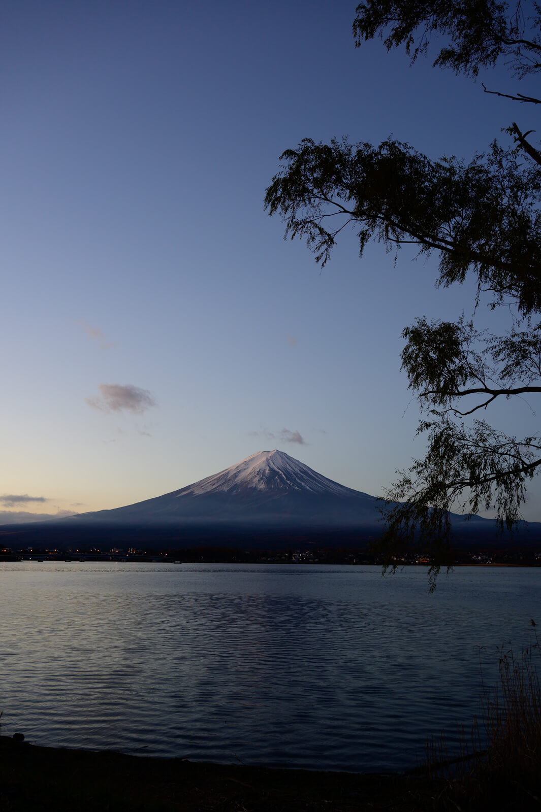 河口湖　富士