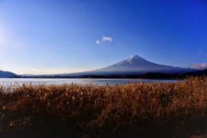 大石公園　富士